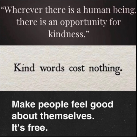 One Wedgwood Morton Old Hall Dinner Plate - Picture 14 of 16